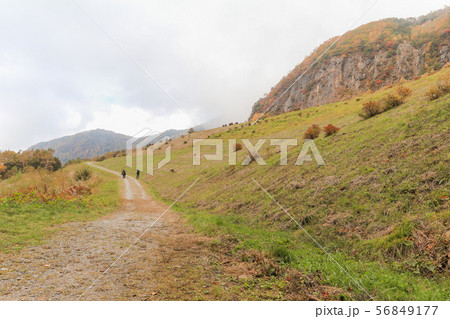 Beautiful  view of Japan autumn in Obuse park 56849177