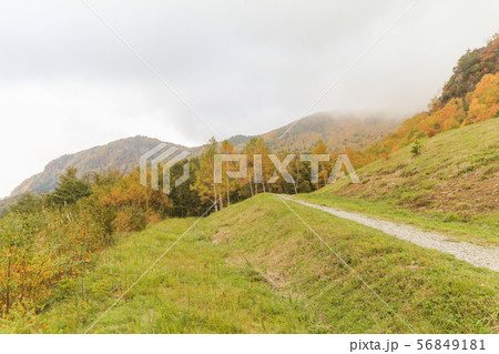 Beautiful  view of Japan autumn in Obuse park 56849181