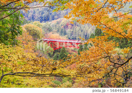 Beautiful mountain view of Japan autumn ,Nagano 56849184
