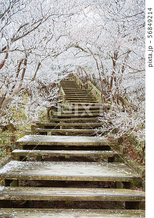 霧氷のトンネル 56849214