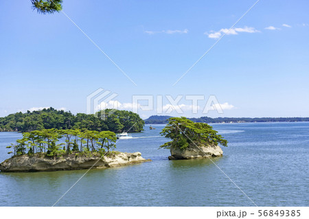 快晴の松島を望む 56849385