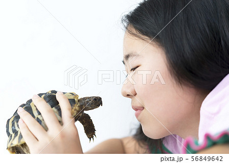 女の子とペットのリクガメ 女の子とペットのリクガメ 56849642