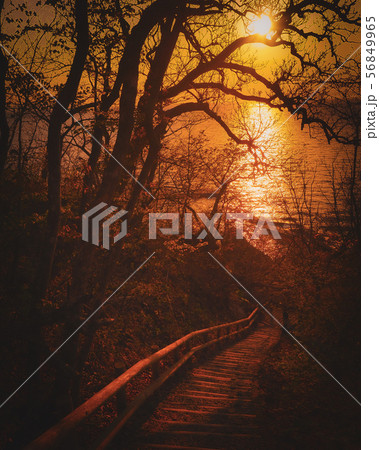 青森 仏ヶ浦 陸奥湾 夕日 56849965