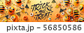 Happy Halloween trick or treat poster 56850586
