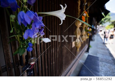 花の飾り 花の飾り 56851292