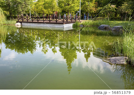 自然 風景 公園 56851379