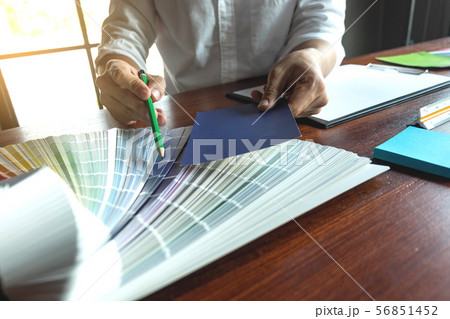 Graphic designer choose color band sample. 56851452