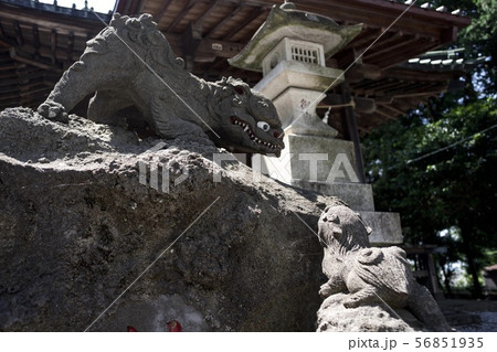 夏の上南畑神社 夏の上南畑神社 56851935