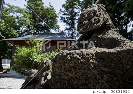 夏の上南畑神社 夏の上南畑神社 56851936