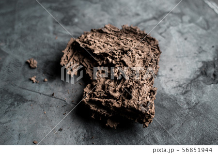 The abandoned small termite nest 56851944