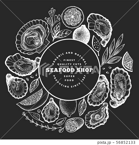 Oysters and spices design template. Hand drawn 56852133