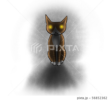 暗闇で目が光る猫のイラストのイラスト素材 56852362 Pixta