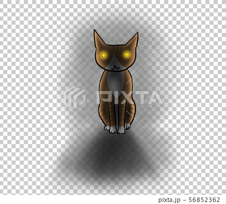 暗闇で目が光る猫のイラストのイラスト素材