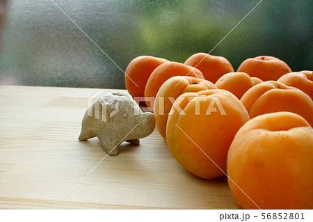 あんず あんず 56852801