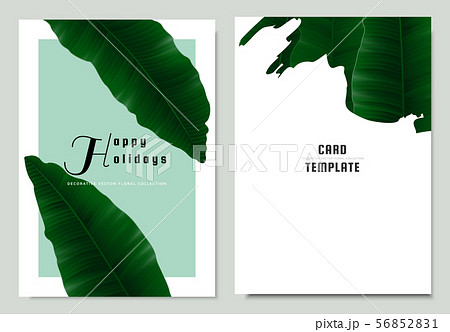 Greeting/invitation card template design Greeting/invitation card template design 56852831