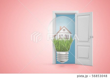 3d rendering of big lightbulb with small house on green lawn inside emerging from open door on pink 3d rendering of big lightbulb with small house on green lawn inside emerging from open door on pink 56853048