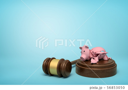 3d rendering of pieces of broken piggy bank lying on sounding block with gavel beside on light-blue 3d rendering of pieces of broken piggy bank lying on sounding block with gavel beside on light-blue 56853050