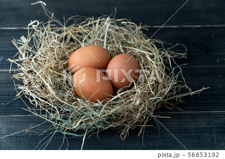 Close up of fresh brown chicken eggs in hay nest 56853192