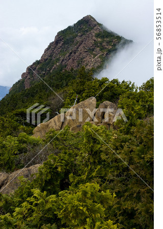 四国の東赤石山 四国の東赤石山 56853514