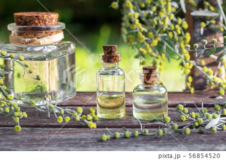 Bottles of essential oil with blooming wormwood 56854520