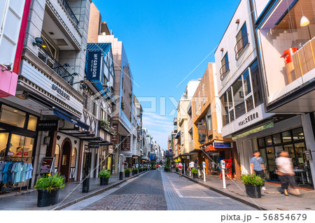 日本の横浜都市景観 横浜元町商店街を望む 日本の横浜都市景観 横浜元町商店街を望む 56854679