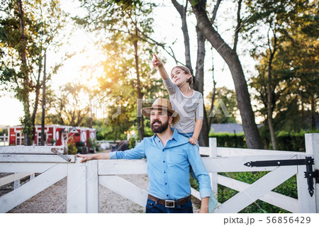 A portrait of father with small daughter outdoors on family farm. A portrait of father with small daughter outdoors on family farm. 56856429
