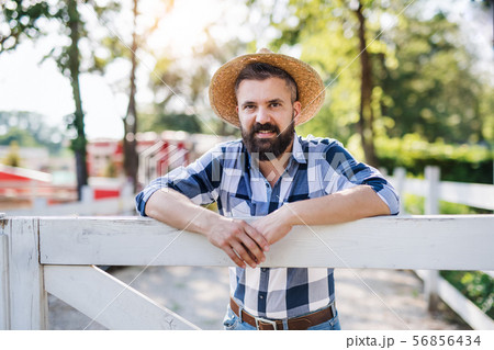 A portrait of mature man farmer standing outdoors on family farm. A portrait of mature man farmer standing outdoors on family farm. 56856434