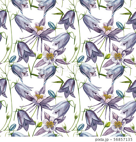 Bellflower blossoms, leaves and bouquets set. Seamless patterns. Watercolor set of flowers and 56857135