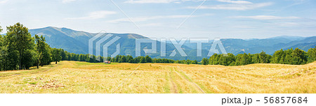 beautiful panorama of a summer mountain landscape 56857684