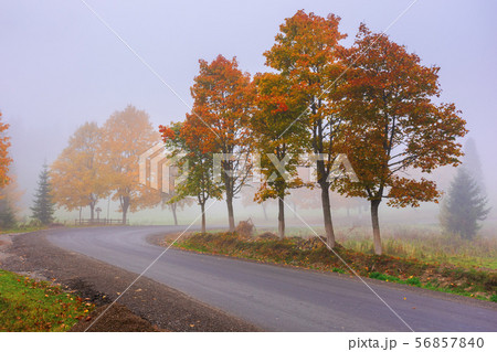 road winding through fog in autumn road winding through fog in autumn 56857840