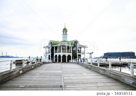 横浜（夏） 56858531