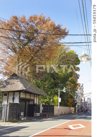 世田谷代官屋敷　表門 56859379