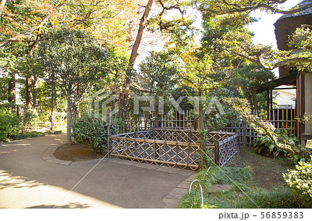 世田谷代官屋敷　白州跡 56859383