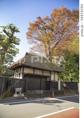 世田谷代官屋敷 表門 世田谷代官屋敷 表門 56859384