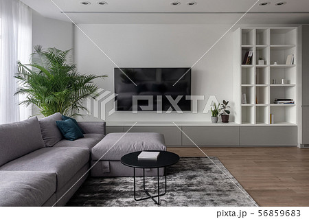 Stylish modern interior with white walls and parquet with carpet Stylish modern interior with white walls and parquet with carpet 56859683