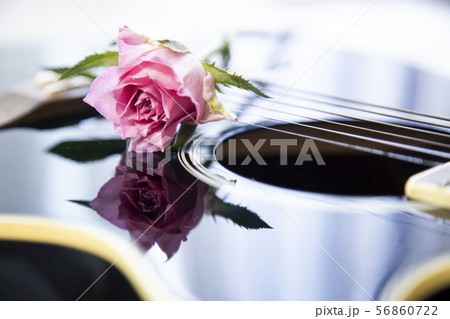 その他 ギター バラの花 56860722