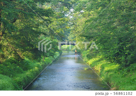 忍野八海　－　忍野村 56861102