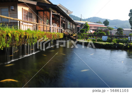 忍野八海　－　忍野村 56861103