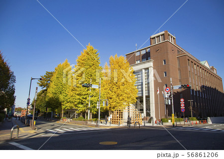 国士舘大学周辺の風景 国士舘大学周辺の風景 56861206