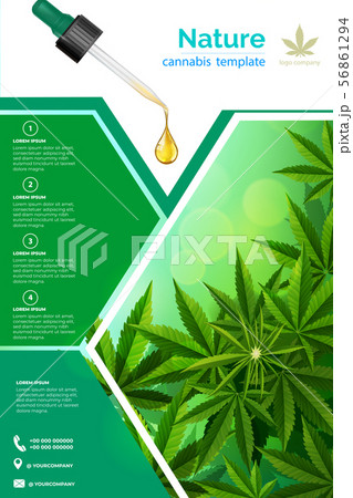 Cannabis Or Marijauna Medical Poster Design のイラスト素材