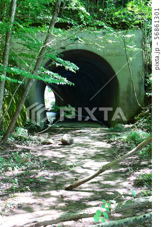王滝村の自然湖 廃道の隧道(トンネル) 王滝村の自然湖 廃道の隧道(トンネル) 56861301
