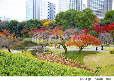 秋の小石川後楽園　小廬山から見た庭園 56861468