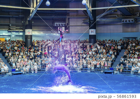 【東京都】アクアパーク品川 56861593