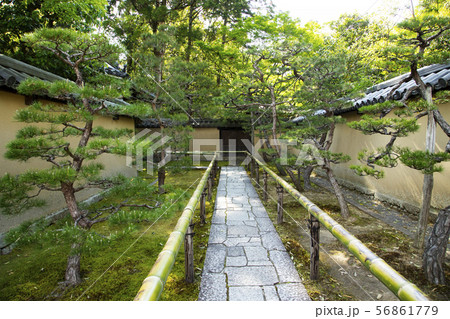 大徳寺 高桐院 大徳寺 高桐院 56861779