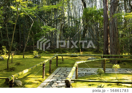 大徳寺　高桐院 56861783