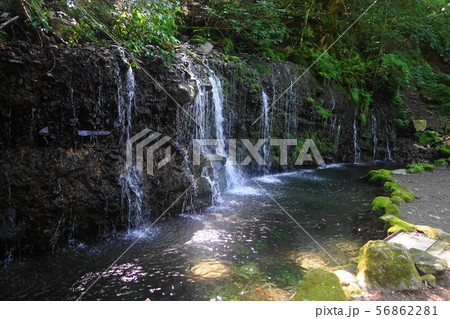 8月　箱根181千条の滝 56862281