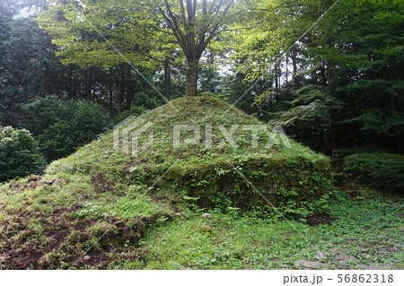 8月　箱根145一里塚・箱根旧街道 56862318