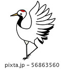 鶴 56863560