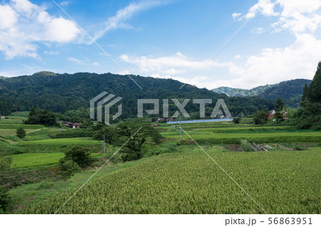 農村風景 56863951