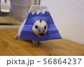 まるで富士山 56864237